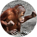 Nó Be profile picture
